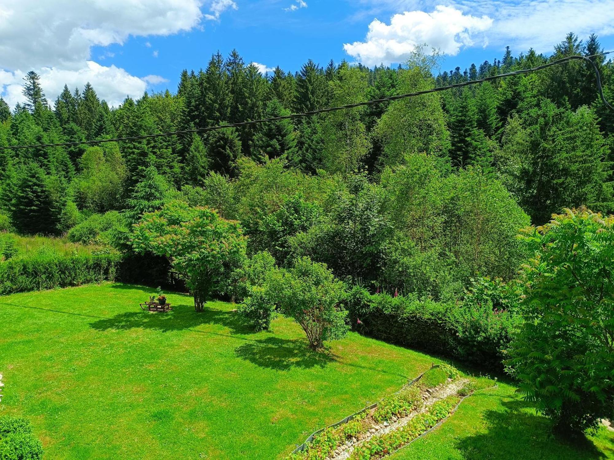 L'Eden De Floridylle Bed & Breakfast Xonrupt-Longemer Dış mekan fotoğraf