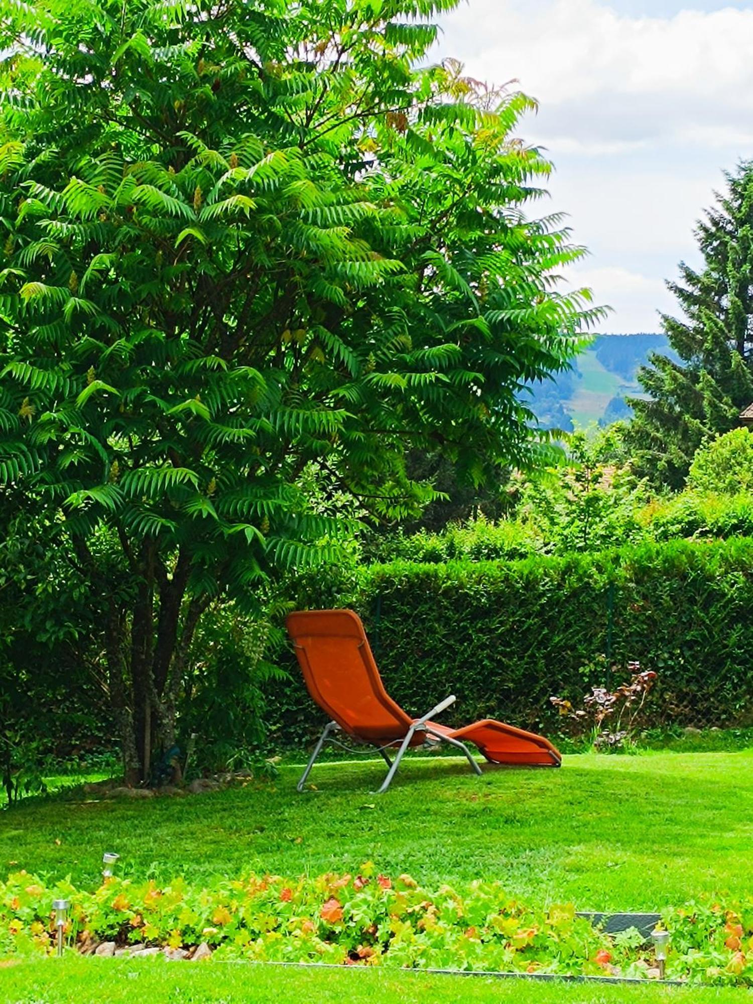 L'Eden De Floridylle Bed & Breakfast Xonrupt-Longemer Dış mekan fotoğraf