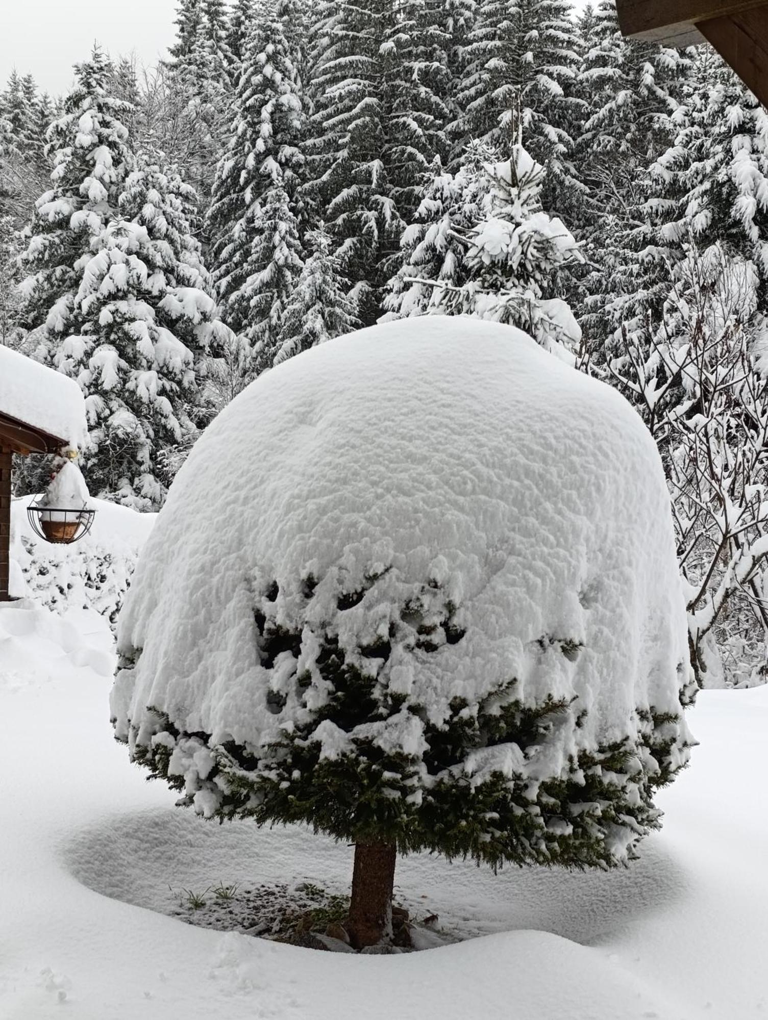 L'Eden De Floridylle Bed & Breakfast Xonrupt-Longemer Dış mekan fotoğraf